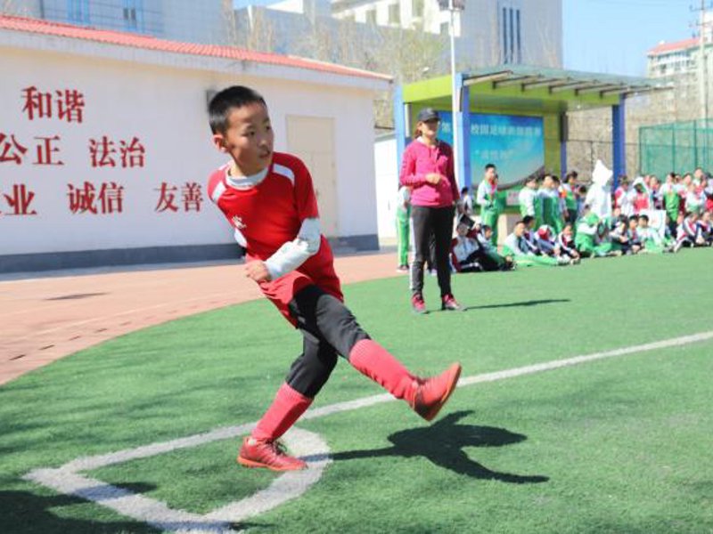 Bsports介绍